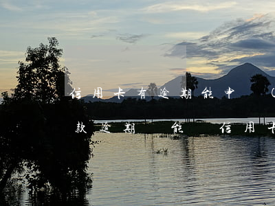 信用卡有逾期能申請(qǐng)的貸款(貸款逾期過能辦信用卡嗎)