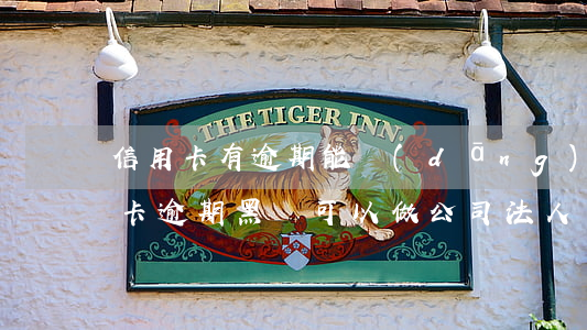 信用卡有逾期能當(dāng)法人嗎(信用卡逾期黑戶可以做公司法人嗎?)