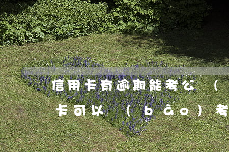 信用卡有逾期能考公務(wù)員嗎(欠信用卡可以報(bào)考公務(wù)員嗎)