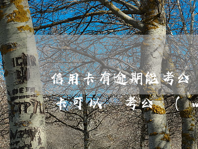 信用卡有逾期能考公務(wù)員嗎(欠信用卡可以報考公務(wù)員嗎)