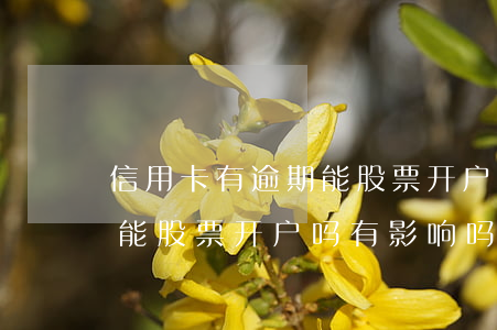 信用卡有逾期能股票开户吗-信用卡有逾期能股票开户吗有影响吗