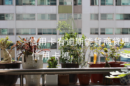 信用卡有逾期能貸商貸嗎(貸款逾期還能辦理信用卡嗎)