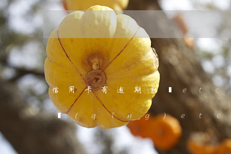 信用卡有逾期能辦etc嘛(有信用卡可以申請(qǐng)etc嗎)