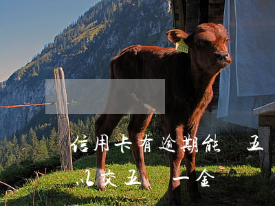 信用卡有逾期能辦五險一金么-征信逾期可以交五險一金嗎