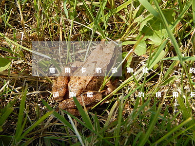 信用卡有逾期能辦別的信用卡嗎-信用卡有逾期能辦別的信用卡嗎有影響嗎