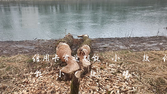 信用卡有逾期能辦小額貸款嗎 信用卡有逾期能辦小額貸款嗎貼吧