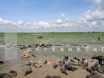 信用卡有逾期能辦理賬單分期嗎(為什么信用卡不能辦理賬單分期)