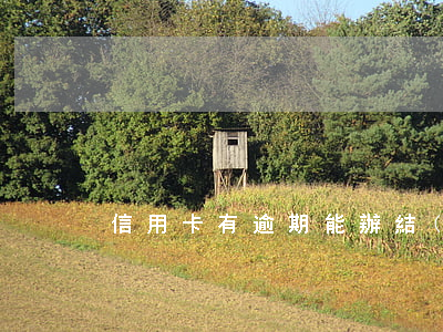 信用卡有逾期能辦結(jié)婚證嗎