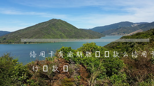 信用卡有逾期能辦貸款么(信用卡逾期可以銀行貸款嗎)