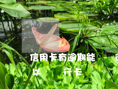 信用卡有逾期能辦銀行貸款嗎(信用卡逾期可以辦銀行卡嗎)