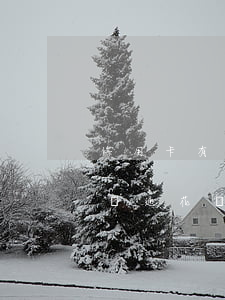信用卡有逾期能開通花唄么(信用卡有逾期能開通花唄么)