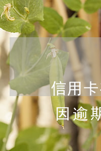信用卡有逾期被法院凍結(jié)(信用卡因逾期被凍結(jié)可以解凍嗎)