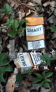 信用卡有逾期被法院起訴會怎樣 因信用卡逾期被起訴坐牢的多嗎