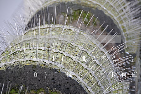 信用卡有逾期要不要銷(xiāo)戶(hù)銀行卡（信用卡有逾期要不要銷(xiāo)戶(hù)）