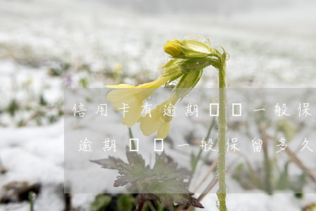 信用卡有逾期記錄一般保留多久-信用卡有逾期記錄一般保留多久的