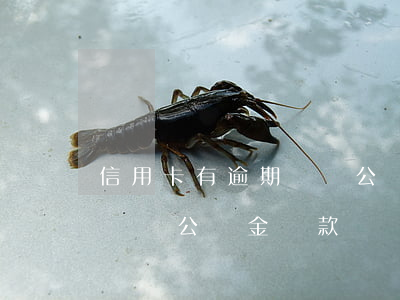 信用卡有逾期記錄公積金貸款(信用卡有逾期記錄公積金貸款)