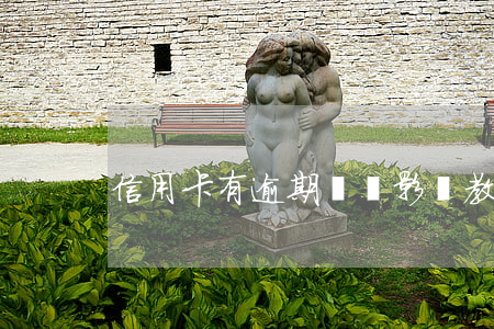 信用卡有逾期記錄影響教師政審嗎