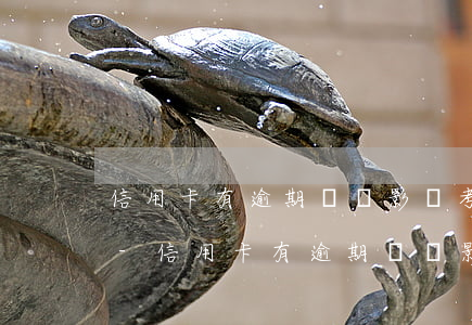 信用卡有逾期記錄影響考公務(wù)員嗎-信用卡有逾期記錄影響考公務(wù)員嗎知乎