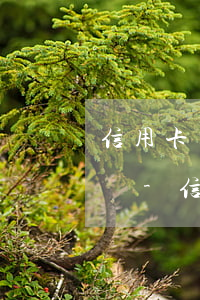 信用卡有逾期記錄影響部隊(duì)政審嗎-信用卡有逾期記錄影響部隊(duì)政審嗎知乎