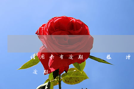 信用卡有逾期記錄很難增額(信用卡7萬額度逾期)