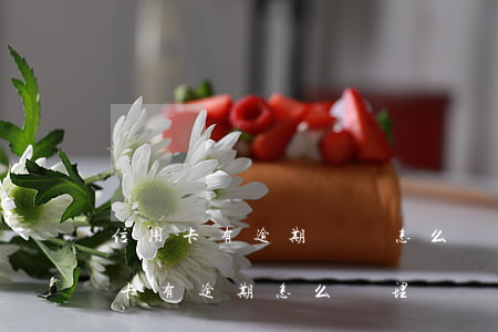 信用卡有逾期記錄怎么過戶房子(買房子信用卡有逾期怎么處理)
