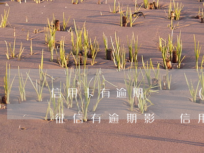 信用卡有逾期記錄會(huì)影響提額嗎(征信有逾期影響信用卡提額嗎)