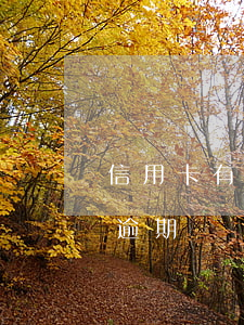 信用卡有逾期記錄會有什么影響-信用卡有逾期記錄會有什么影響嗎