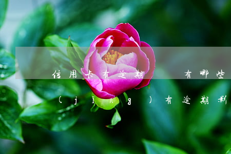 信用卡有逾期記錄有哪些影響嗎(信用卡 曾經(jīng)有逾期 影響)