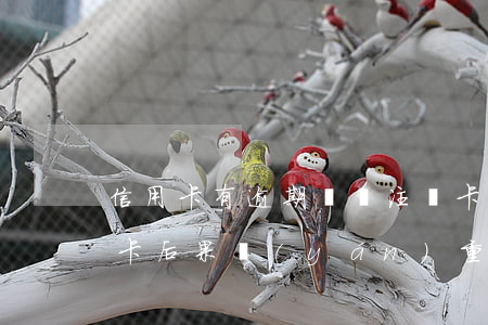 信用卡有逾期記錄注銷卡后(逾期后注銷信用卡后果嚴(yán)重)