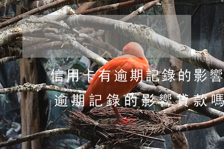信用卡有逾期記錄的影響貸款嗎-信用卡有逾期記錄的影響貸款嗎知乎