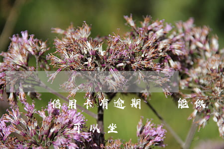 信用卡有逾期記錄能做飛機嗎(征信有逾期記錄可以坐飛機嗎)