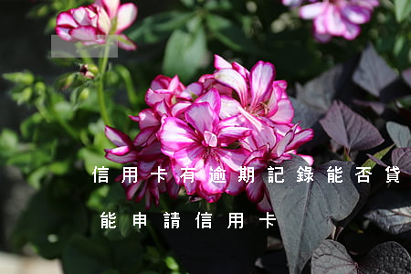 信用卡有逾期記錄能否貸款(有逾期記錄能不能申請信用卡)
