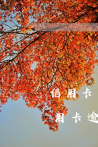 信用卡有逾期記錄能當(dāng)兵嗎(行用卡逾期會影響孩子當(dāng)兵嗎)