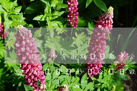 信用卡有逾期記錄能考公嗎(家人有信用卡逾期記錄,會影響公務員政審嗎)