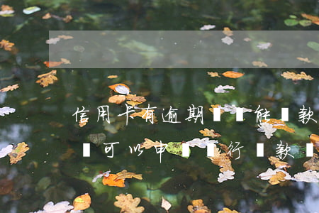 信用卡有逾期記錄能貸款么(有信用卡逾期記錄可以申請銀行貸款嗎)