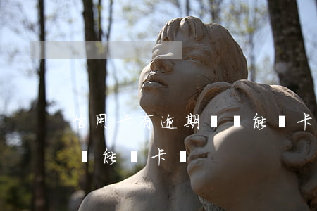 信用卡有逾期記錄能開卡嗎(信用卡有逾期記錄能開卡嗎)