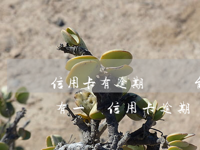 信用卡有逾期記錄還能按揭房子嗎(征信報告有一條信用卡逾期記錄能辦房貸嗎?)