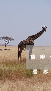 信用卡有逾期記錄銷戶了(信用卡逾期后還清要不要銷戶)