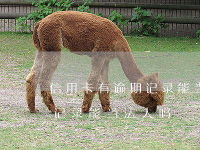 信用卡有逾期记录能当法人吗(信用卡有逾期记录能当法人吗)