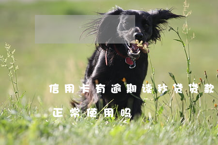 信用卡有逾期 读秒贷(贷款逾期了信用卡还能正常使用吗)