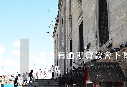 信用卡有逾期貸款會下嗎(信用卡逾期過可以貸款嗎)
