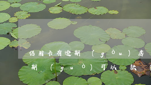 信用卡有逾期購(gòu)房貸款(信用卡逾期過(guò)可以貸款買(mǎi)房嗎)