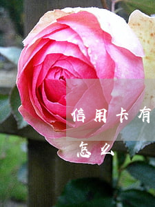 信用卡有逾期辦理房貸(辦房貸信用卡有逾期怎么辦)