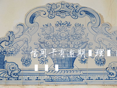 信用卡有逾期辦理車貸嗎(信用卡有逾期辦理車貸嗎)