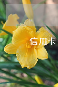 信用卡有逾期過會上征信嗎