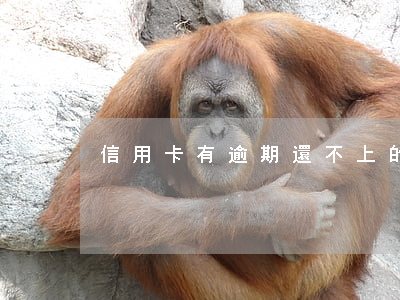 信用卡有逾期還不上的嗎(信用卡逾期還不起)