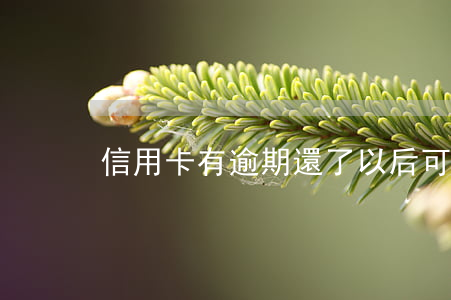 信用卡有逾期還了以后可以注銷