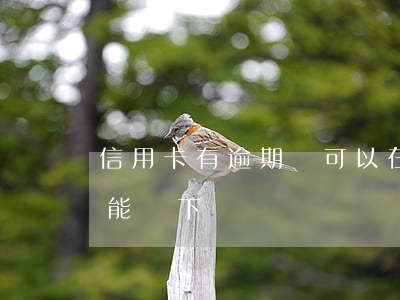 信用卡有逾期還可以在辦嗎(逾期了信用卡還能辦下來嗎) 信用卡有逾期還可以在辦嗎(逾期了信用卡還能辦下來嗎)