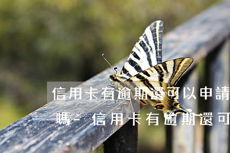 信用卡有逾期還可以申請網(wǎng)貸嗎-信用卡有逾期還可以申請網(wǎng)貸嗎知乎