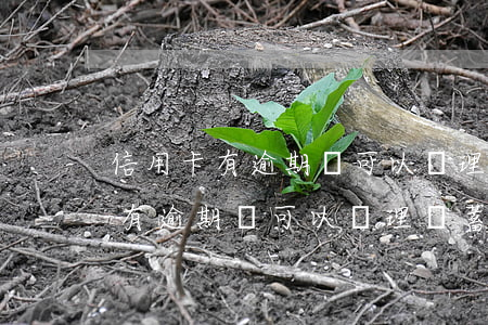 信用卡有逾期還可以辦理儲蓄卡嗎-信用卡有逾期還可以辦理儲蓄卡嗎